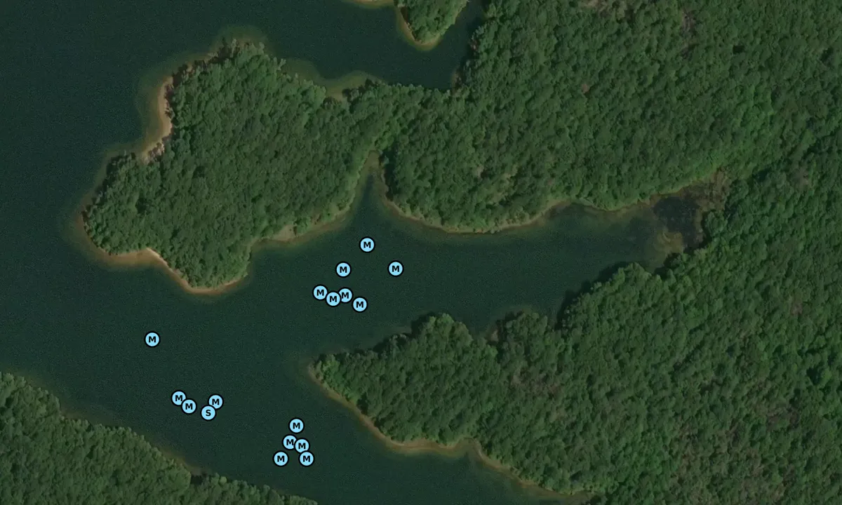 Satelite image of Upper Fork Cove