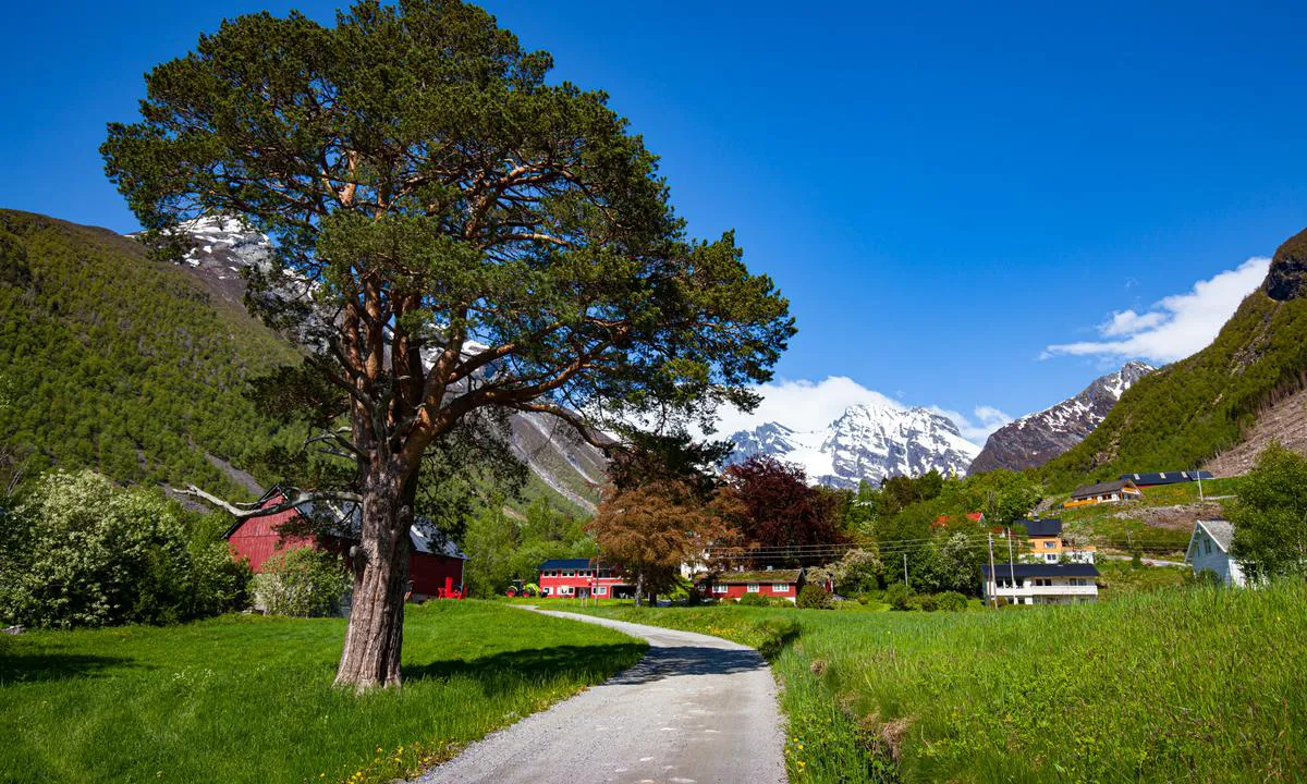 Urke - Hjørundfjorden