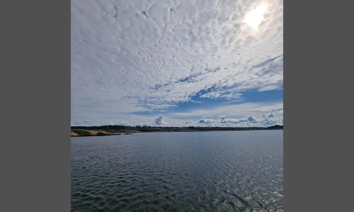Utgårdkilen - Vesterøy: {"base": "no", "no": "\u00d8st fra b\u00f8y", "se": "\u00d6st fr\u00e5n bojen", "en": "East from buoy", "da": "\u00d8st fra b\u00f8je"}