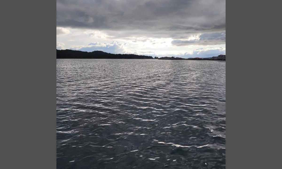 Vågsætervågen: {"base": "no", "no": "Mot vest", "se": "Mot v\u00e4st", "en": "Towards the west", "da": "Mod vest"}