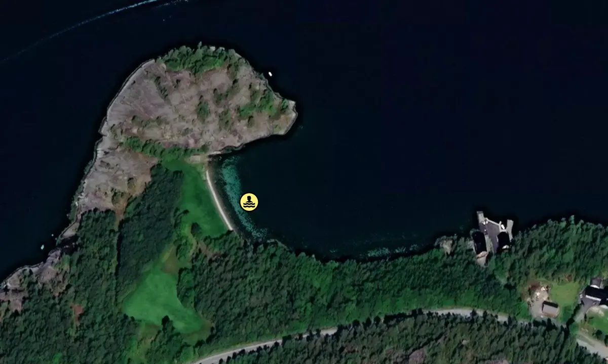 Satelite image of Vågsnes