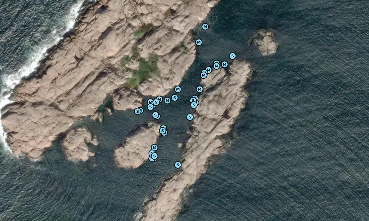 Satelite image of Vasholmarna