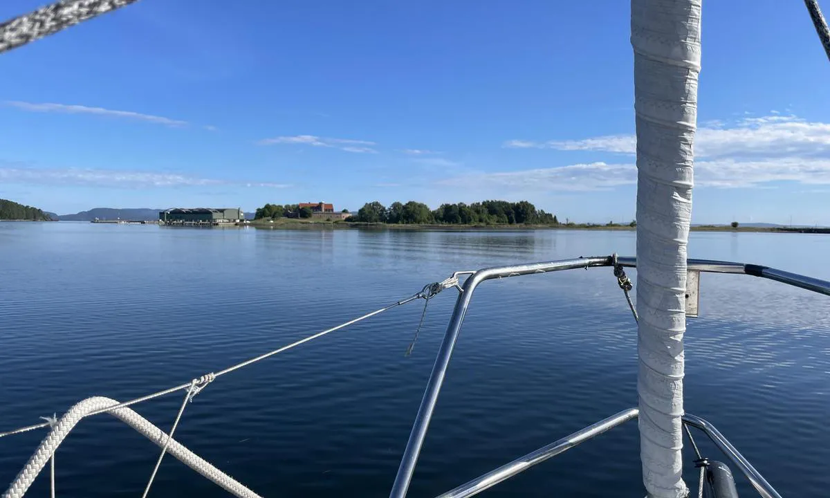 Vealøs