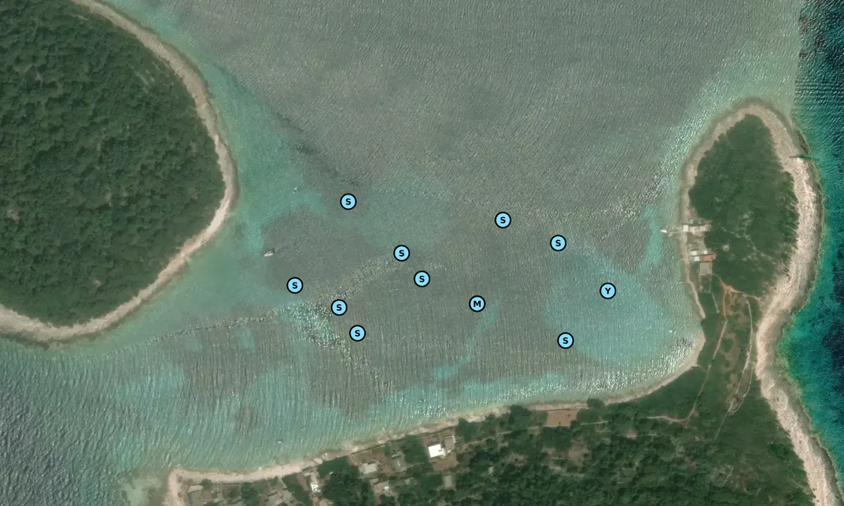 Satelite image of Veli Pržnjak