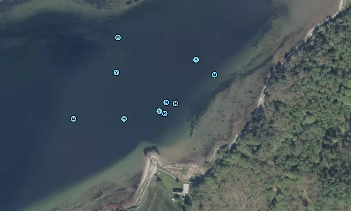 Satelite image of Vellerup Vig bouy