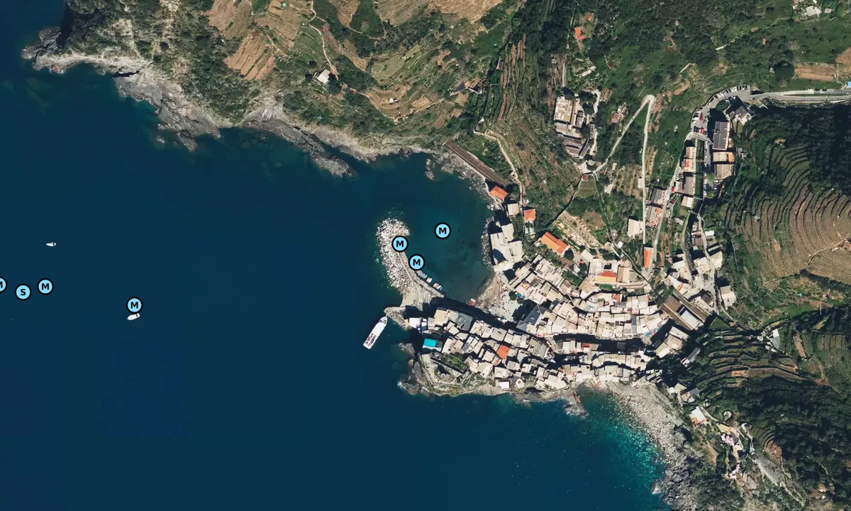 Satelite image of Vernazza