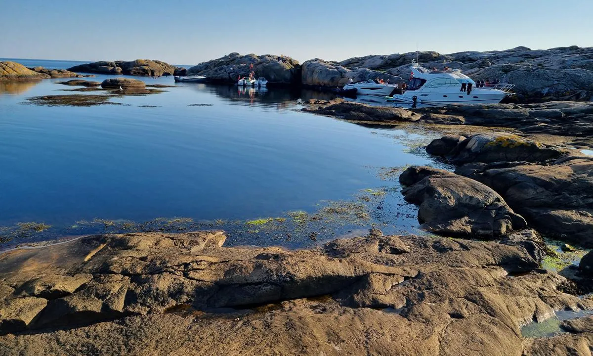 Vesleøy - vest for Akerøy: {"base": "no", "no": "Sett fra nord \u00f8st\r\nStor b\u00e5t innerst har kj\u00f8rt inn fra syd", "se": "Sett fr\u00e5n nord\u00f6st<br>Stor b\u00e5t innerst har k\u00f6rt in fr\u00e5n syd", "en": "Seen from the northeast<br>The large boat at the innermost part has entered from the south", "da": "Set fra nord \u00f8st<br>Stor b\u00e5d inderst er sejlet ind fra syd", "fr": "Vu depuis le nord-est<br>Un grand bateau \u00e0 l'int\u00e9rieur est entr\u00e9 par le sud", "de": "Vom Nordosten gesehen<br><br>Gro\u00dfes Boot ganz innen ist von S\u00fcden hereingekommen", "es": "Visto desde el noreste<br>Barco grande en el interior ha entrado desde el sur", "it": "Vista da nord-est<br>La grande barca pi\u00f9 interna \u00e8 entrata da sud", "pt": "Visto do nordeste<br>Barco grande no fundo entrou pelo sul", "nl": "Gezien vanuit het noordoosten<br>Grote boot binnenin is vanuit het zuiden binnengevaren", "pl": "Widok z p\u00f3\u0142nocnego wschodu<br>Du\u017ca \u0142\u00f3d\u017a w g\u0142\u0119bi wp\u0142yn\u0119\u0142a od po\u0142udnia", "uk": "\u041f\u043e\u0433\u043b\u044f\u0434 \u0437 \u043f\u0456\u0432\u043d\u0456\u0447\u043d\u043e\u0433\u043e \u0441\u0445\u043e\u0434\u0443<br>\u0412\u0435\u043b\u0438\u043a\u0438\u0439 \u0447\u043e\u0432\u0435\u043d \u0432\u0441\u0435\u0440\u0435\u0434\u0438\u043d\u0456 \u0437\u0430\u0439\u0448\u043e\u0432 \u0437 \u043f\u0456\u0432\u0434\u043d\u044f", "ro": "V\u0103zut din nord-est\nO barc\u0103 mare \u00een interior a intrat din sud", "tr": "Kuzeydo\u011fudan g\u00f6r\u00fcld\u00fc\u011f\u00fcnde<br>En i\u00e7teki b\u00fcy\u00fck tekne g\u00fcneyden geliyor", "el": "\u03a6\u03b1\u03af\u03bd\u03b5\u03c4\u03b1\u03b9 \u03b1\u03c0\u03cc \u03b2\u03bf\u03c1\u03b5\u03b9\u03bf\u03b1\u03bd\u03b1\u03c4\u03bf\u03bb\u03b9\u03ba\u03ac\n\u039c\u03b5\u03b3\u03ac\u03bb\u03bf \u03c3\u03ba\u03ac\u03c6\u03bf\u03c2 \u03b5\u03c3\u03c9\u03c4\u03b5\u03c1\u03b9\u03ba\u03ac \u03ba\u03b1\u03c4\u03b5\u03c5\u03b8\u03cd\u03bd\u03b8\u03b7\u03ba\u03b5 \u03b1\u03c0\u03cc \u03bd\u03cc\u03c4\u03bf", "cs": "P\u0159ij\u00ed\u017ed\u011bj\u00edc\u00ed z severov\u00fdchodu<br>Velk\u00e1 lo\u010f na vnit\u0159n\u00ed stran\u011b p\u0159ijela z jihu", "hu": "\u00c9szakkelet fel\u0151l n\u00e9zve <br> A legnagyobb haj\u00f3 legbel\u00fclr\u0151l d\u00e9lr\u0151l haladt be", "fi": "Avaruudesta n\u00e4htyn\u00e4 koillisesta <br> Suuri vene sis\u00e4puolella on ajanut sis\u00e4\u00e4n etel\u00e4st\u00e4", "bg": "\u041f\u043e\u0433\u043b\u0435\u0434\u043d\u0430\u0442\u043e \u043e\u0442 \u0441\u0435\u0432\u0435\u0440\u043e\u0438\u0437\u0442\u043e\u043a<br>\u0413\u043e\u043b\u044f\u043c\u0430\u0442\u0430 \u043b\u043e\u0434\u043a\u0430 \u043d\u0430\u0439-\u0432\u044a\u0442\u0440\u0435 \u0435 \u0432\u043b\u044f\u0437\u043b\u0430 \u043e\u0442 \u044e\u0433", "sr": "Gledano sa severoistoka<BR>Veliki brod unutra je uplovio sa juga", "et": "<p>Vaatenurk p\u00f5hja-kirdest</p>\n<p>Suur paat sisenes l\u00f5unast</p>", "lv": "Redzams no zieme\u013caustrumiem <br> Liel\u0101 laiva iek\u0161\u0101 ir ien\u0101kusi no dienvidiem", "lt": "\u017di\u016brint i\u0161 \u0161iaur\u0117s ryt\u0173<br>Didelis laivas giliai viduje yra \u012fplauk\u0119s i\u0161 piet\u0173"}