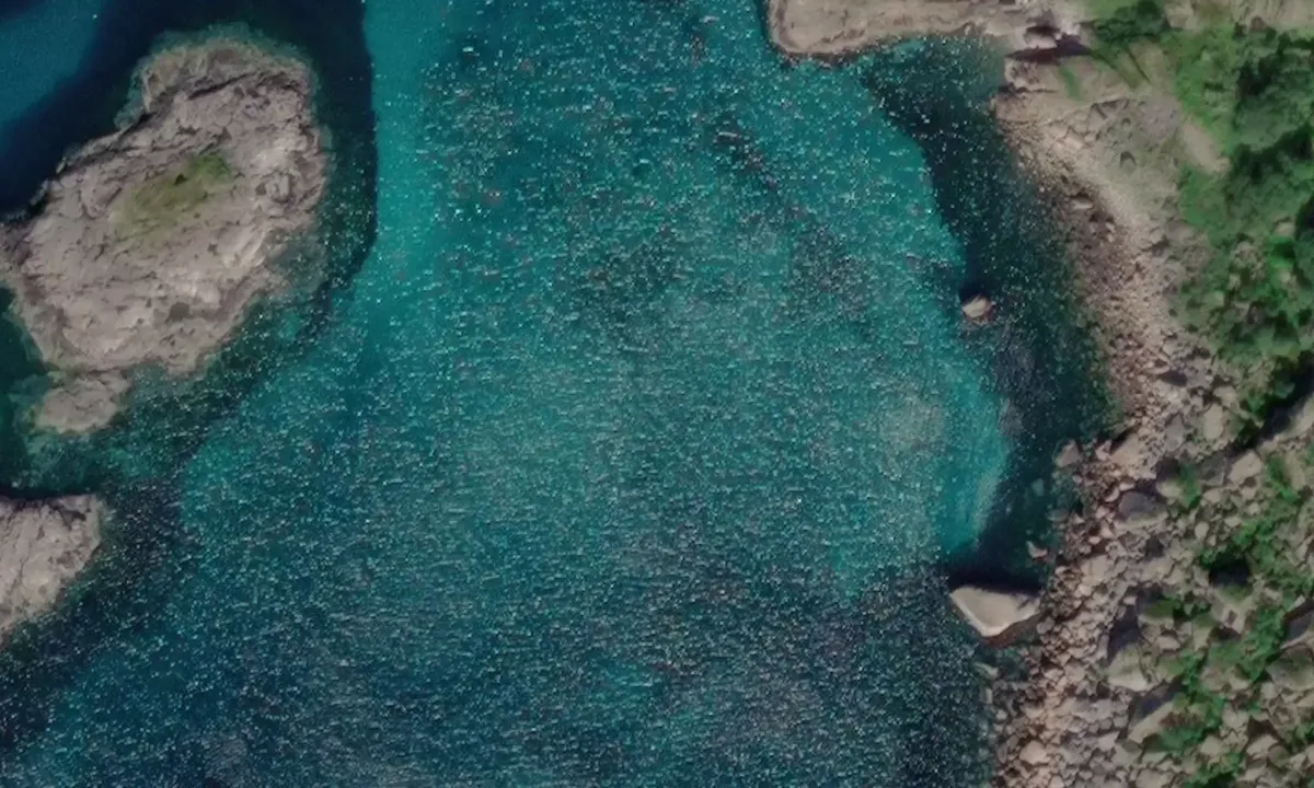 Satelite image of Vest Lille Molla