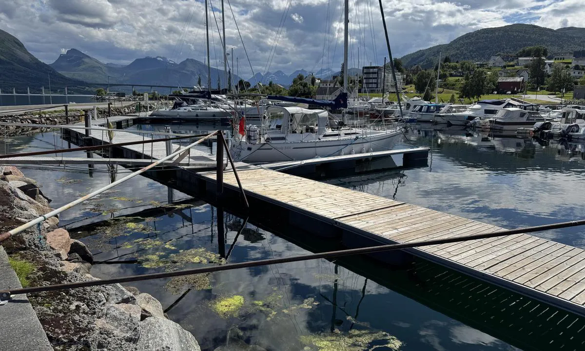 Vestnes Småbåthavn: {"base": "en", "no": "Kaia har blitt oppgradert litt siden forrige bilde - nye flytebrygger og fort\u00f8ynings\u00f8yer langs hovedkaia for \u00e5 erstatte den gamle trerailen gj\u00f8r fort\u00f8yning litt enklere.", "se": "Bryggan har uppgraderats lite sedan senaste fotot - nya fingerpontoner och f\u00f6rt\u00f6jnings\u00f6glor l\u00e4ngs huvudkajen f\u00f6r att ers\u00e4tta den gamla tr\u00e4r\u00e4lsen g\u00f6r det lite enklare att f\u00f6rt\u00f6ja.", "en": "Dock has been upgraded a bit since last photo - new finger pontoon and mooring eyes along the main dock to replace the old wood rail makes mooring a bit easier.", "da": "Anl\u00f8bsbroen er blevet opgraderet lidt siden sidste foto - ny fingerponton og fort\u00f8jnings\u00f8jer langs hovedbroen, som erstatter den gamle tr\u00e6r\u00e6kke, g\u00f8r fort\u00f8jning lidt lettere.", "fr": "La jet\u00e9e a \u00e9t\u00e9 l\u00e9g\u00e8rement am\u00e9lior\u00e9e depuis la derni\u00e8re photo - un nouveau ponton lat\u00e9ral et des \u0153illets d'amarrage le long du quai principal pour remplacer les anciennes barres en bois rendent l'amarrage un peu plus facile.", "de": "Der Steg wurde seit dem letzten Foto etwas aufger\u00fcstet - ein neuer Fingerpontonkai und Festmacheraugen entlang des Hauptstegs ersetzen die alte Holzschiene und machen das Festmachen etwas einfacher.", "es": "El muelle ha sido mejorado un poco desde la \u00faltima foto: un nuevo pantal\u00e1n en dedo y ojos de amarre a lo largo del muelle principal para reemplazar el viejo riel de madera hace que el amarre sea un poco m\u00e1s f\u00e1cil.", "it": "Il molo \u00e8 stato migliorato un po' rispetto all'ultima foto - un nuovo pontile a dito e anelli di ormeggio lungo il molo principale che sostituiscono il vecchio binario in legno rendono l'ormeggio un po' pi\u00f9 facile.", "pt": "O cais foi um pouco melhorado desde a \u00faltima foto - um novo pont\u00e3o de dedos e olhos de amarra\u00e7\u00e3o ao longo do cais principal para substituir o antigo trilho de madeira tornam a amarra\u00e7\u00e3o um pouco mais f\u00e1cil.", "nl": "De steiger is sinds de laatste foto een beetje opgewaardeerd - een nieuwe vingerponton en meeroogjes langs de hoofdsteiger hebben de oude houten rails vervangen, waardoor afmeren iets gemakkelijker is.", "pl": "Nabrze\u017ce zosta\u0142o troch\u0119 zmodernizowane od ostatniego zdj\u0119cia - nowy p\u0142ywaj\u0105cy pomost i oczka cumownicze wzd\u0142u\u017c g\u0142\u00f3wnego nabrze\u017ca zast\u0119puj\u0105 stare drewniane por\u0119cze, co u\u0142atwia cumowanie.", "uk": "\u041f\u0440\u0438\u0447\u0430\u043b \u0431\u0443\u0432 \u0442\u0440\u043e\u0445\u0438 \u043c\u043e\u0434\u0435\u0440\u043d\u0456\u0437\u043e\u0432\u0430\u043d\u0438\u0439 \u0437 \u043e\u0441\u0442\u0430\u043d\u043d\u044c\u043e\u0457 \u0444\u043e\u0442\u043e\u0433\u0440\u0430\u0444\u0456\u0457 - \u043d\u043e\u0432\u0438\u0439 \u043f\u0430\u043b\u044c\u0446\u0435\u0432\u0438\u0439 \u043f\u043e\u043d\u0442\u043e\u043d \u0442\u0430 \u0448\u0432\u0430\u0440\u0442\u043e\u0432\u043d\u0456 \u043a\u0456\u043b\u044c\u0446\u044f \u0432\u0437\u0434\u043e\u0432\u0436 \u0433\u043e\u043b\u043e\u0432\u043d\u043e\u0433\u043e \u043f\u0440\u0438\u0447\u0430\u043b\u0443, \u044f\u043a\u0456 \u0437\u0430\u043c\u0456\u043d\u0438\u043b\u0438 \u0441\u0442\u0430\u0440\u0456 \u0434\u0435\u0440\u0435\u0432'\u044f\u043d\u0456 \u0440\u0435\u0439\u043a\u0438, \u043f\u043e\u043b\u0435\u0433\u0448\u0443\u044e\u0442\u044c \u043f\u0440\u043e\u0446\u0435\u0441 \u0448\u0432\u0430\u0440\u0442\u0443\u0432\u0430\u043d\u043d\u044f.", "ro": "Docul a fost modernizat pu\u021bin fa\u021b\u0103 de ultima fotografie - un ponton cu deget nou \u0219i ochiuri de amarare de-a lungul docului principal care \u00eenlocuiesc vechea balustrad\u0103 de lemn fac amararea pu\u021bin mai u\u0219oar\u0103.", "tr": "\u0130skele son foto\u011fraftan beri biraz yenilendi - eski ah\u015fap ray\u0131n yerine yeni parmak ponton ve ana iskelenin yan\u0131nda ba\u011flama g\u00f6zleri yerle\u015ftirildi, bu da ba\u011flamay\u0131 biraz daha kolay hale getiriyor.", "el": "\u0397 \u03b1\u03c0\u03bf\u03b2\u03ac\u03b8\u03c1\u03b1 \u03ad\u03c7\u03b5\u03b9 \u03b1\u03bd\u03b1\u03b2\u03b1\u03b8\u03bc\u03b9\u03c3\u03c4\u03b5\u03af \u03bb\u03af\u03b3\u03bf \u03b1\u03c0\u03cc \u03c4\u03b7\u03bd \u03c4\u03b5\u03bb\u03b5\u03c5\u03c4\u03b1\u03af\u03b1 \u03c6\u03c9\u03c4\u03bf\u03b3\u03c1\u03b1\u03c6\u03af\u03b1 - \u03bd\u03ad\u03b1 \u03c0\u03bb\u03c9\u03c4\u03ae \u03b1\u03c0\u03bf\u03b2\u03ac\u03b8\u03c1\u03b1 \u03ba\u03b1\u03b9 \u03bc\u03ac\u03c4\u03b9\u03b1 \u03c0\u03c1\u03cc\u03c3\u03b4\u03b5\u03c3\u03b7\u03c2 \u03ba\u03b1\u03c4\u03ac \u03bc\u03ae\u03ba\u03bf\u03c2 \u03c4\u03b7\u03c2 \u03ba\u03b5\u03bd\u03c4\u03c1\u03b9\u03ba\u03ae\u03c2 \u03b1\u03c0\u03bf\u03b2\u03ac\u03b8\u03c1\u03b1\u03c2 \u03b3\u03b9\u03b1 \u03bd\u03b1 \u03b1\u03bd\u03c4\u03b9\u03ba\u03b1\u03c4\u03b1\u03c3\u03c4\u03ae\u03c3\u03bf\u03c5\u03bd \u03c4\u03bf\u03bd \u03c0\u03b1\u03bb\u03b9\u03cc \u03be\u03cd\u03bb\u03b9\u03bd\u03bf \u03c3\u03b9\u03b4\u03b7\u03c1\u03cc\u03b4\u03c1\u03bf\u03bc\u03bf, \u03ba\u03b1\u03b8\u03b9\u03c3\u03c4\u03ce\u03bd\u03c4\u03b1\u03c2 \u03c4\u03b7\u03bd \u03c0\u03c1\u03cc\u03c3\u03b4\u03b5\u03c3\u03b7 \u03bb\u03af\u03b3\u03bf \u03c0\u03b9\u03bf \u03b5\u03cd\u03ba\u03bf\u03bb\u03b7.", "cs": "P\u0159\u00edstavn\u00ed molo bylo od posledn\u00ed fotografie trochu vylep\u0161eno - nov\u00fd prstov\u00fd ponton a kotevn\u00ed oka pod\u00e9l hlavn\u00edho mola nahradily star\u00e9 d\u0159ev\u011bn\u00e9 z\u00e1bradl\u00ed, co\u017e usnad\u0148uje kotven\u00ed.", "hu": "A m\u00f3l\u00f3t kicsit fel\u00faj\u00edtott\u00e1k az utols\u00f3 fot\u00f3 \u00f3ta - \u00faj ujjpontont \u00e9s kik\u00f6t\u0151szemek ker\u00fcltek az f\u0151m\u00f3l\u00f3 ment\u00e9n, hogy az \u00f6reg fas\u00ednt lecser\u00e9lj\u00e9k, \u00edgy a kik\u00f6t\u00e9s egy kicsit k\u00f6nnyebb\u00e9 v\u00e1lt.", "fi": "Laituria on parannettu hieman viimeisimm\u00e4n kuvan j\u00e4lkeen - uusi sormiponttoni ja kiinnityssilm\u00e4t pitkin p\u00e4\u00e4laituria korvaavat vanhan puukaiteen, mik\u00e4 helpottaa kiinnittymist\u00e4.", "bg": "\u041f\u0430\u0441\u0430\u0440\u0435\u043b\u043a\u0430\u0442\u0430 \u0435 \u043e\u0431\u043d\u043e\u0432\u0435\u043d\u0430 \u043c\u0430\u043b\u043a\u043e \u043e\u0442 \u043f\u043e\u0441\u043b\u0435\u0434\u043d\u0430\u0442\u0430 \u0441\u043d\u0438\u043c\u043a\u0430 - \u043d\u043e\u0432\u0430 \u043f\u0430\u043b\u0443\u0431\u0430 \u0438 \u0448\u0432\u0430\u0440\u0442\u043e\u0432\u0438 \u043e\u0447\u0438 \u043f\u043e \u0446\u044f\u043b\u0430\u0442\u0430 \u043e\u0441\u043d\u043e\u0432\u043d\u0430 \u043f\u0430\u0441\u0430\u0440\u0435\u043b\u043a\u0430 \u0437\u0430\u043c\u0435\u043d\u044f\u0442 \u0441\u0442\u0430\u0440\u0430\u0442\u0430 \u0434\u044a\u0440\u0432\u0435\u043d\u0430 \u0440\u0435\u043b\u0441\u0430, \u043a\u043e\u0435\u0442\u043e \u043f\u0440\u0430\u0432\u0438 \u0448\u0432\u0430\u0440\u0442\u043e\u0432\u0430\u043d\u0435\u0442\u043e \u043c\u0430\u043b\u043a\u043e \u043f\u043e-\u043b\u0435\u0441\u043d\u043e.", "sr": "Dok je malo unapre\u0111en od poslednje fotografije - nova prstasta platforma i vezni okovi du\u017e glavnog doka koji su zamenili stare drvene \u0161ine \u010dine vezivanje malo lak\u0161im.", "et": "Sadamakaid on alates eelmisest fotost veidi uuendatud - peamiseks dokiks on uus s\u00f5rmpontoon ja sildumissilmad, mis asendavad vana puidust r\u00f6\u00f6pa, muutes sildumise veidi lihtsamaks.", "lv": "Piest\u0101tne ir nedaudz uzlabota kop\u0161 p\u0113d\u0113j\u0101s fotogr\u0101fijas - jauna pirkstu pontona un pietauvo\u0161an\u0101s acis gar galveno piest\u0101tni, aizst\u0101jot veco koka sliedi, padara pietauvo\u0161anos nedaudz viegl\u0101ku.", "lt": "Prieplauka buvo \u0161iek tiek patobulinta nuo paskutin\u0117s nuotraukos - naujas pir\u0161t\u0173 pontonas ir tvirtinimo vietos i\u0161ilgai pagrindinio prieplaukos tako pakeit\u0117 sen\u0105j\u0105 medin\u0119 b\u0117gel\u0119, tod\u0117l \u0161vartavimas tapo \u0161iek tiek lengvesnis."}