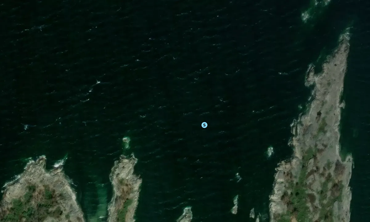 Satelite image of Vidinge