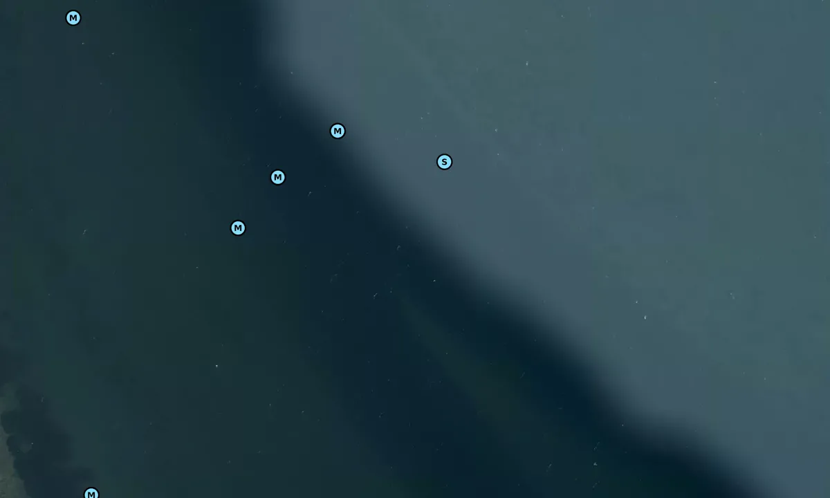 Satelite image of Viemose bouy