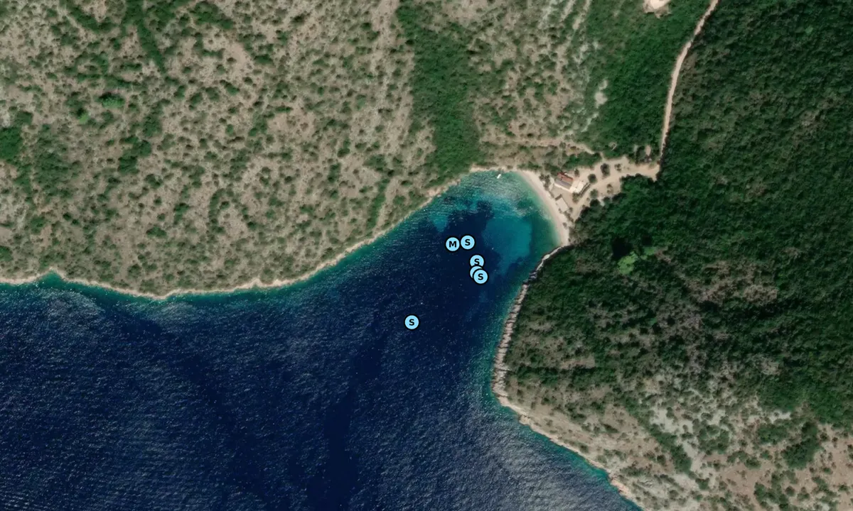 Satelite image of Viganj
