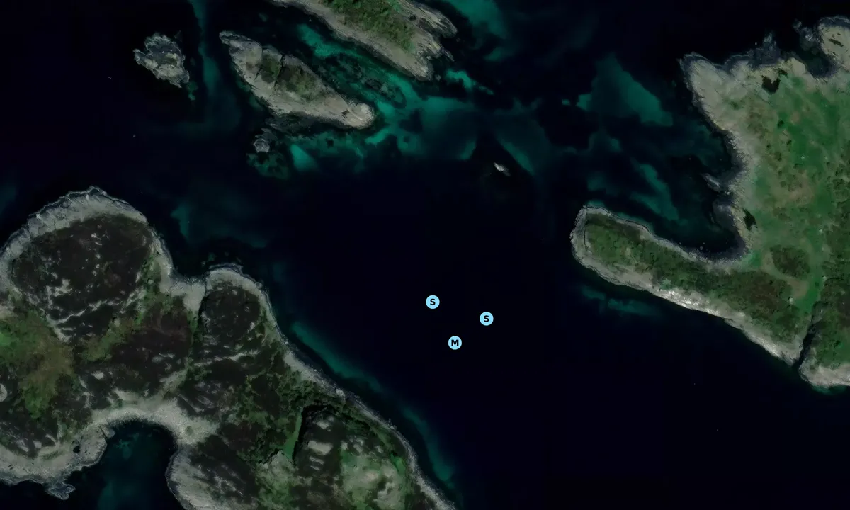 Satelite image of Vignesholmane