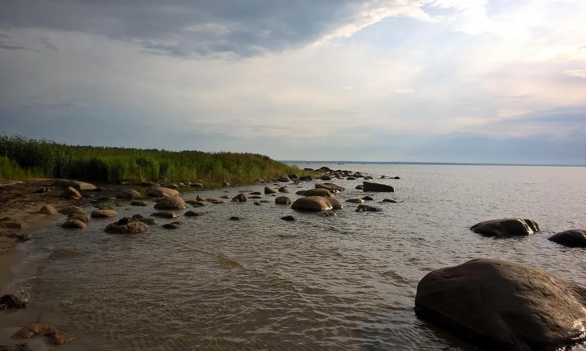 Viinistu Harbour: {"base": "en", "no": "Vinistu kystlinje", "se": "Vinistu kustlinje", "en": "Vinistu shoreline", "da": "Vinistu kystlinje"}