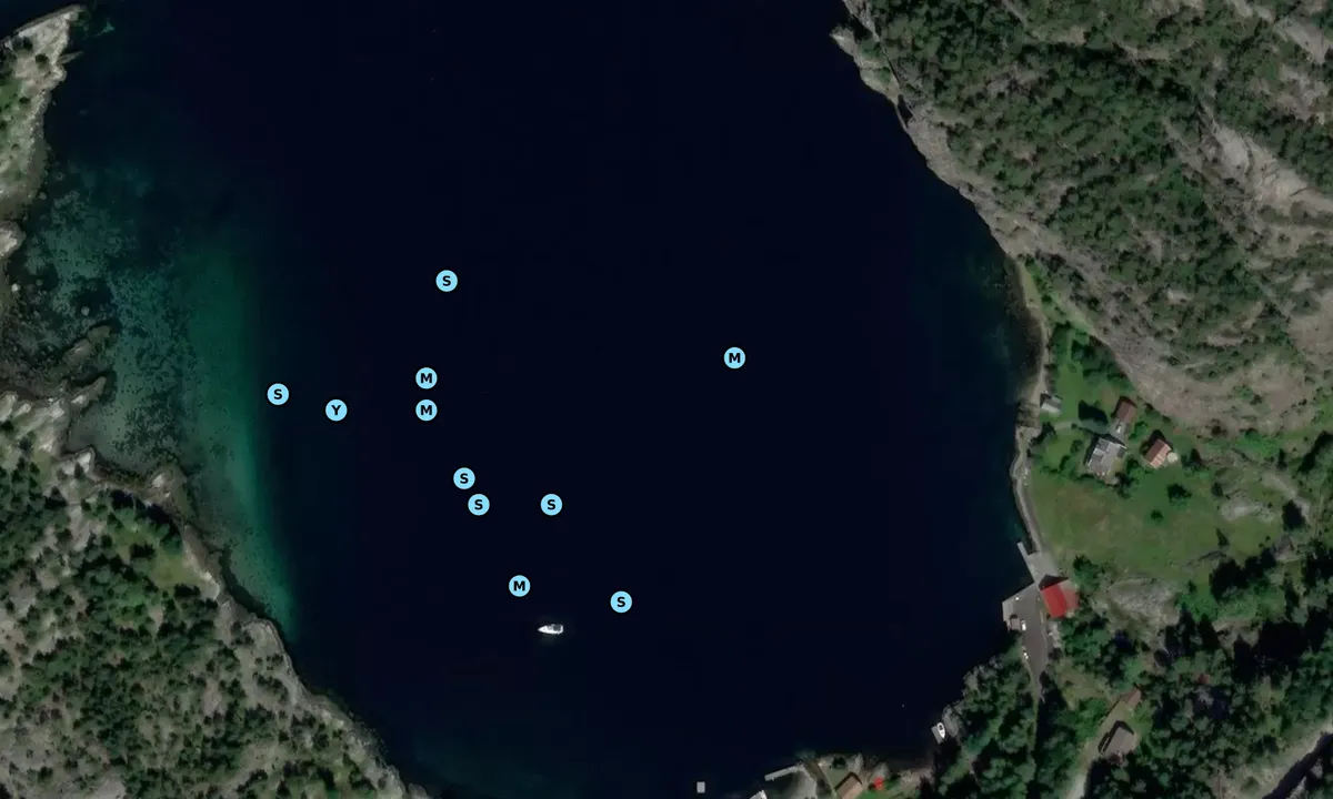 Satelite image of Vikavågen - Lysefjorden