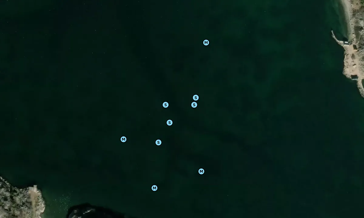 Satelite image of Vikefjord