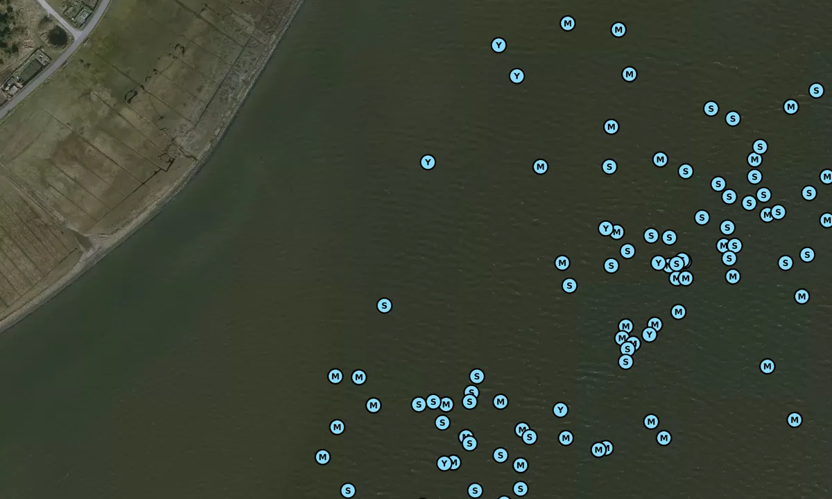 Satelite image of Vlieland Wattseite Nähe Hafen