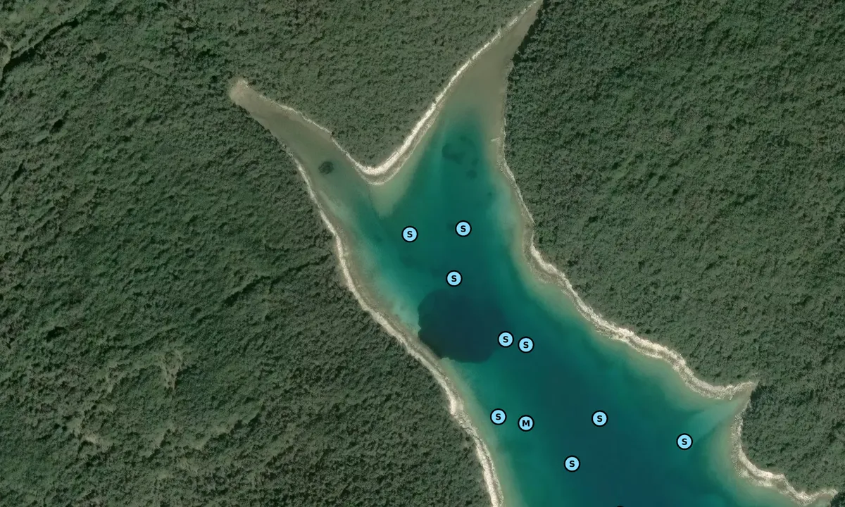 Satelite image of Vognisca