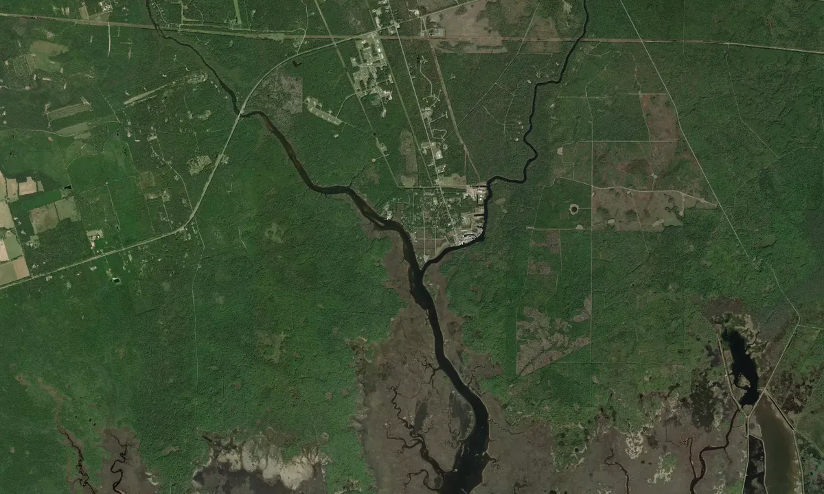 Flyfoto av Wakulla River