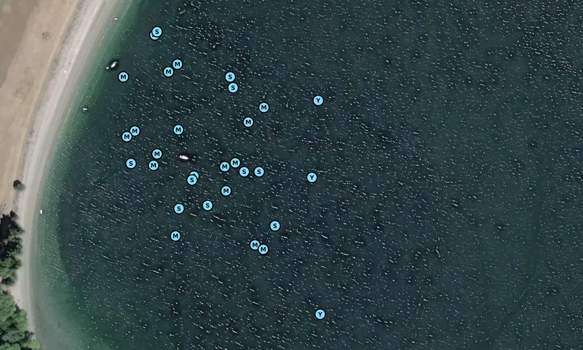 Satelite image of Walker Hook