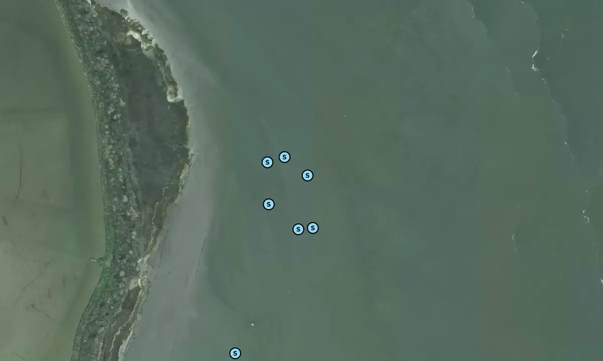 Satelite image of Wando River 1