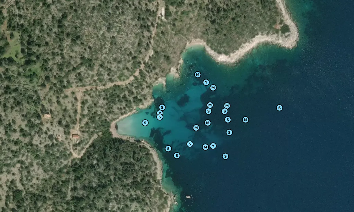 Satelite image of Wasp Bay