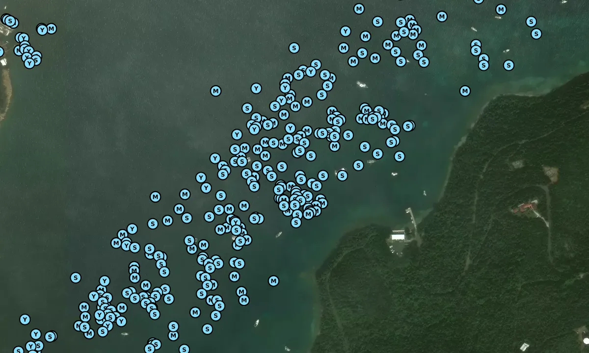 Satelite image of Water Island West