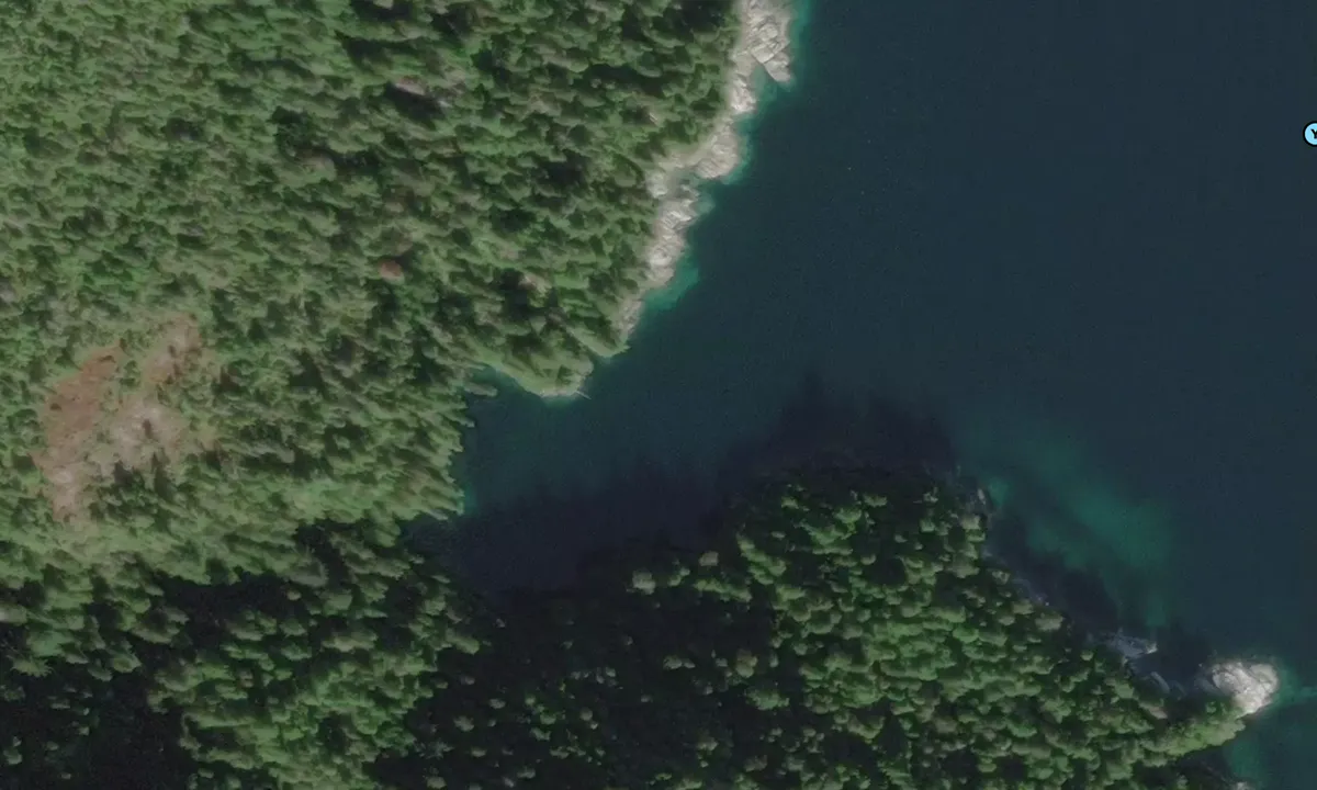 Satelite image of Waterfall Cove - Sitka
