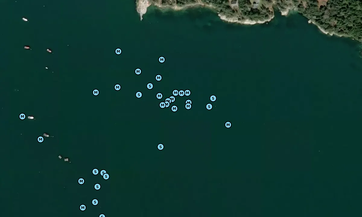 Satelite image of Webb Cove