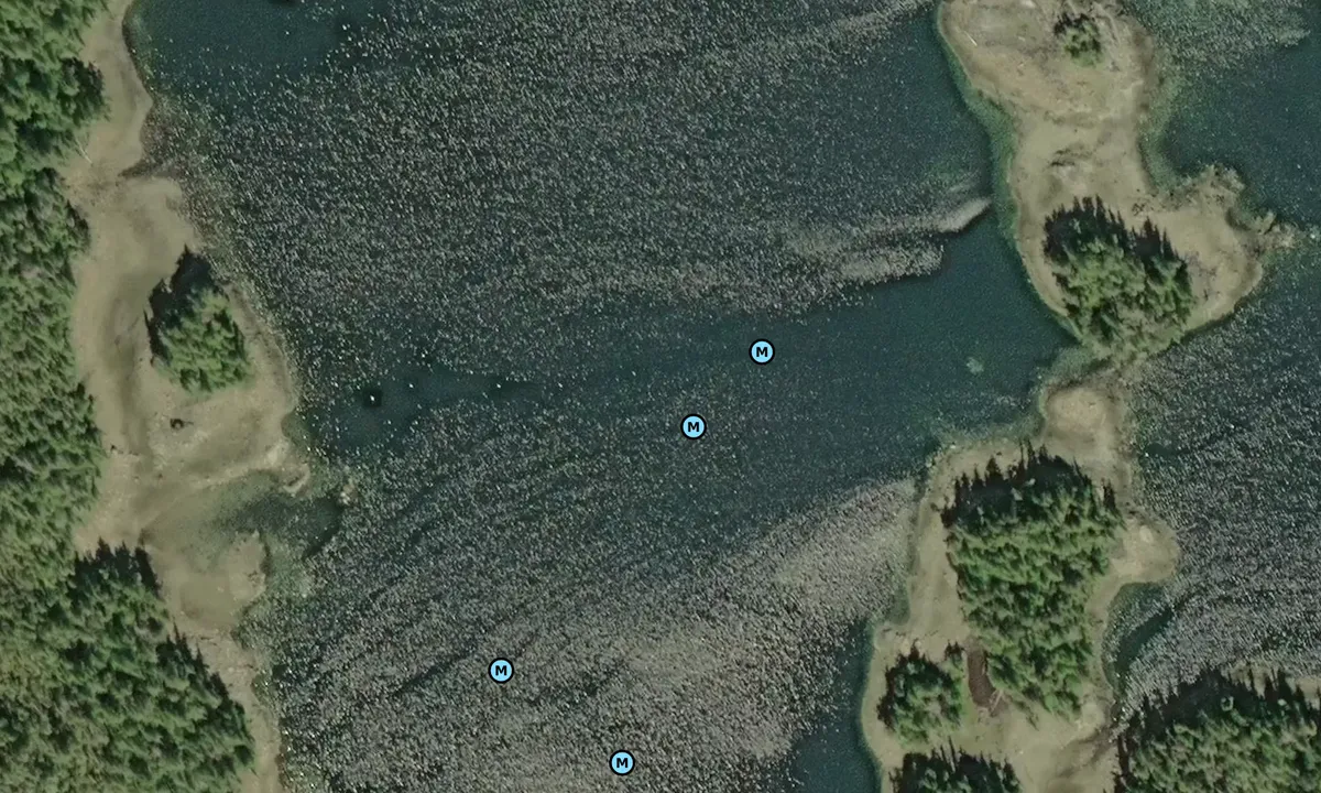 Satelite image of West Arm Cove