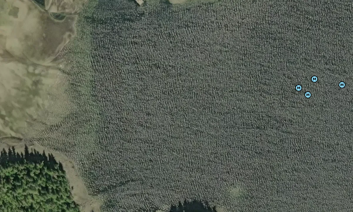 Satelite image of West Arm Head - Alaska