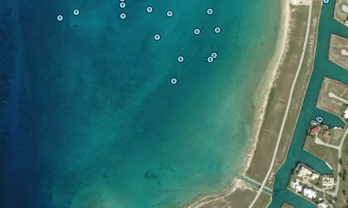 Satelite image of West End
