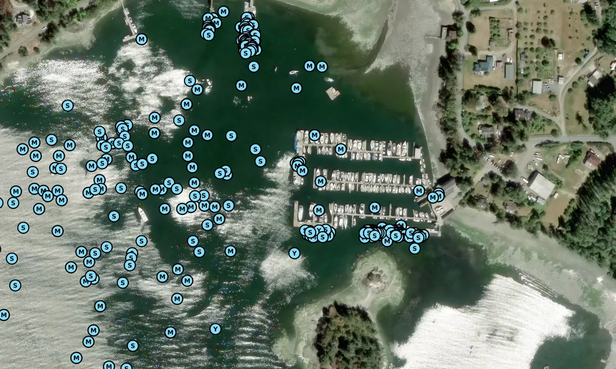 Satelite image of West Sound Marina