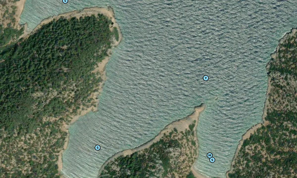 Satelite image of Western Cove of Tsoutsoura