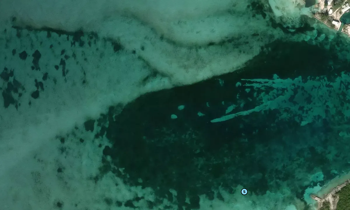 Satelite image of Whale - Little Whale