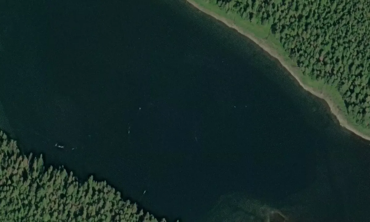 Satelite image of Whaletail Cove