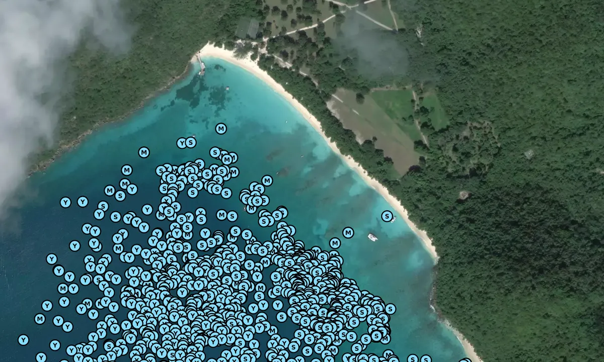 Satelite image of White Bay - Other Islands