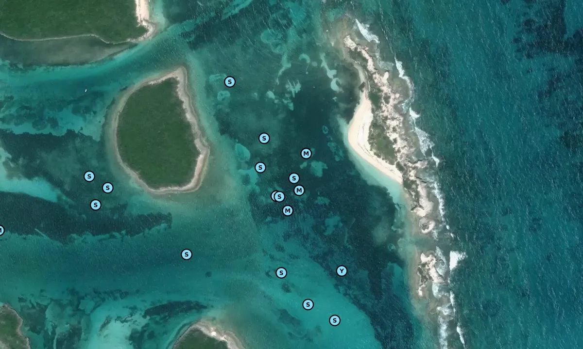 Satelite image of White Cay