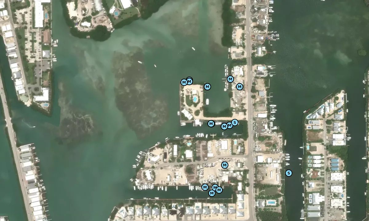 Satelite image of White Marlin Marina 1