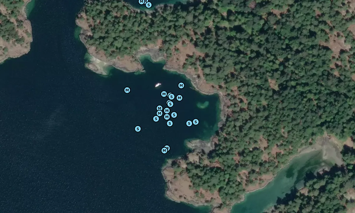 Satelite image of White Rock Cove