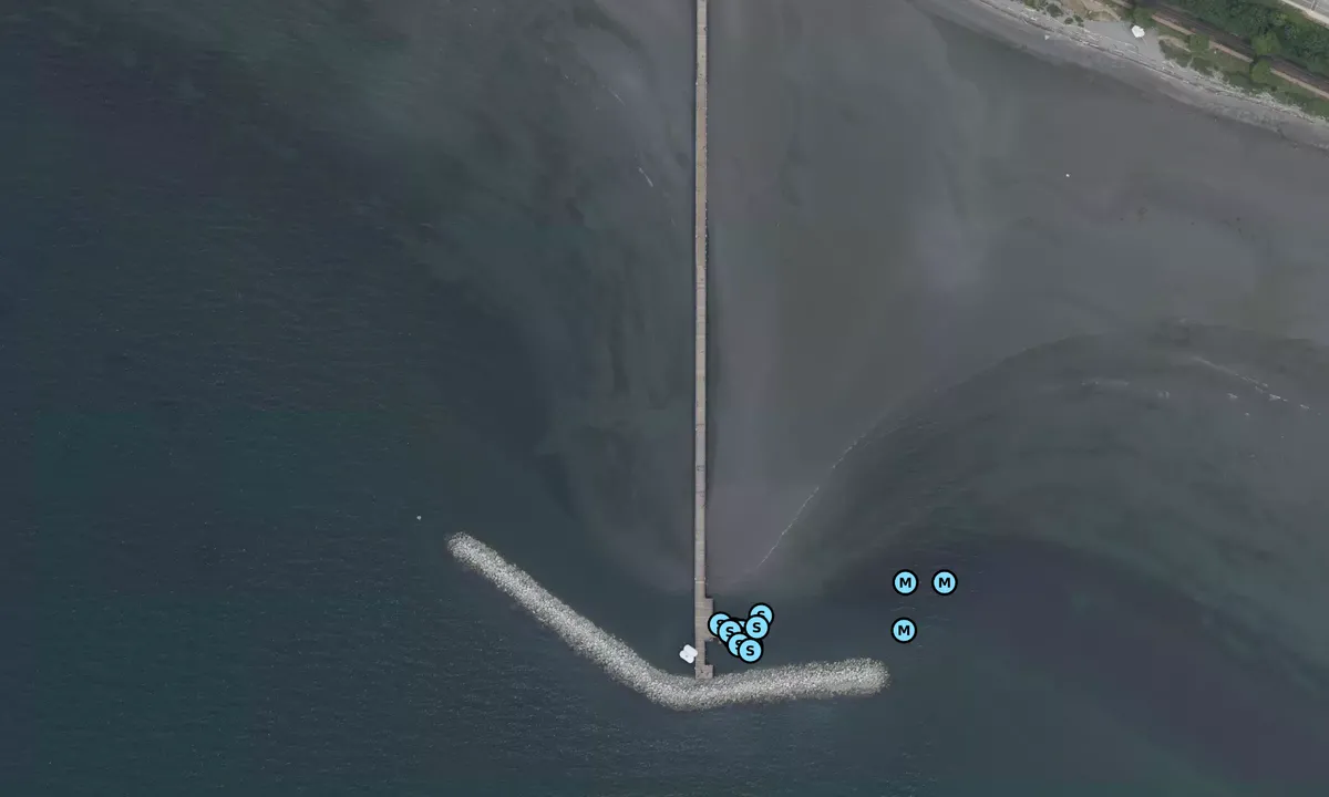 Satelite image of White Rock Pier