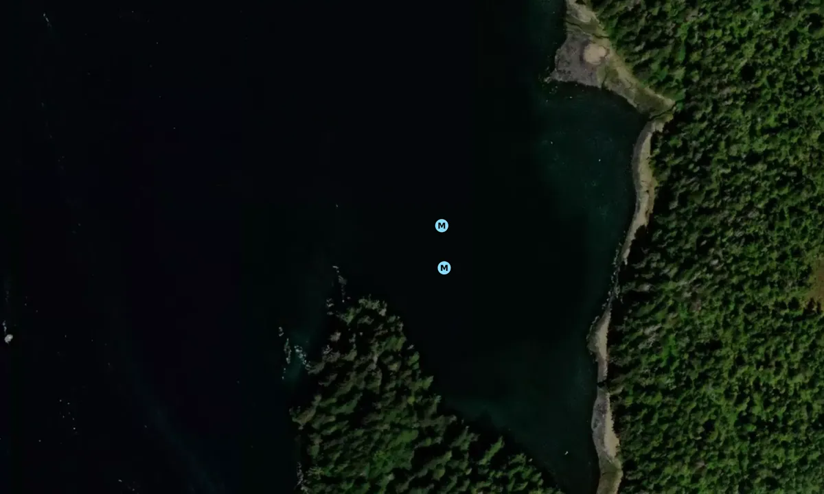 Satelite image of Whitestone Cove
