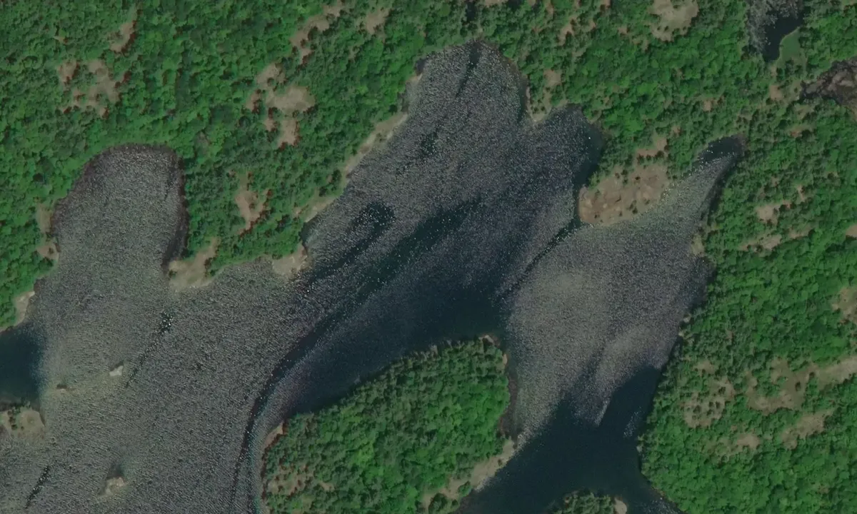 Satelite image of Wilcox Bay
