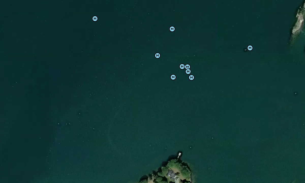 Satelite image of Wilson Cove