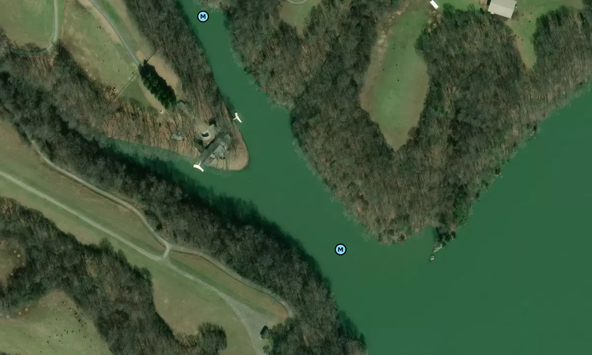 Satelite image of Wilson Dam