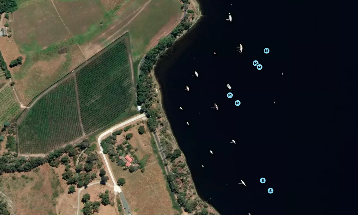 Satelite image of Wilson Park