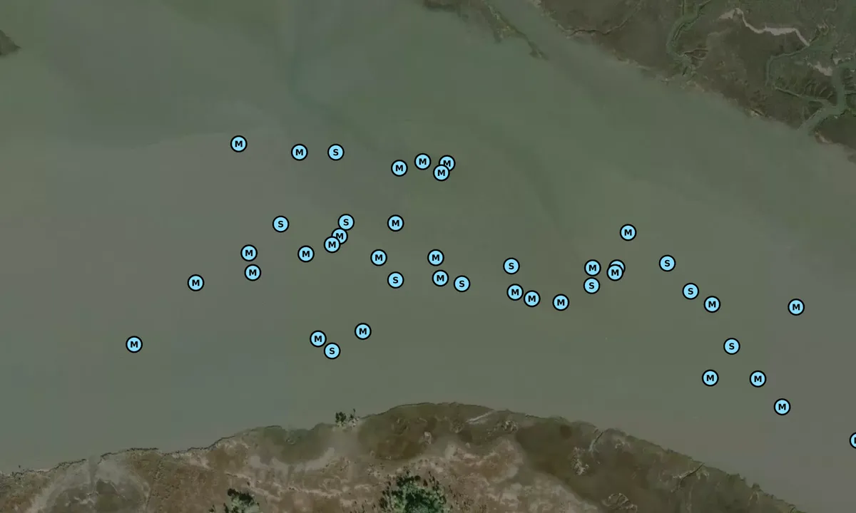 Satelite image of Wimbee Creek