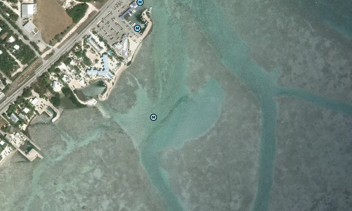 Satelite image of Windly key