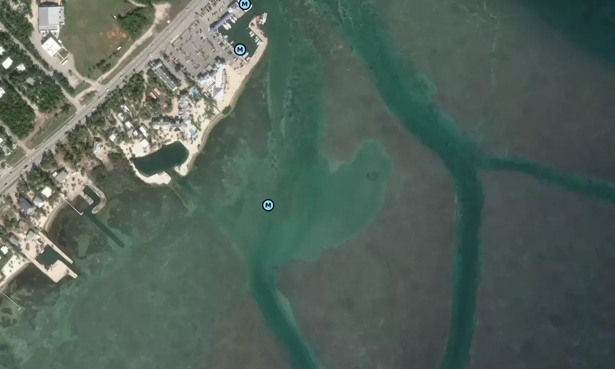 Satelite image of Windly key