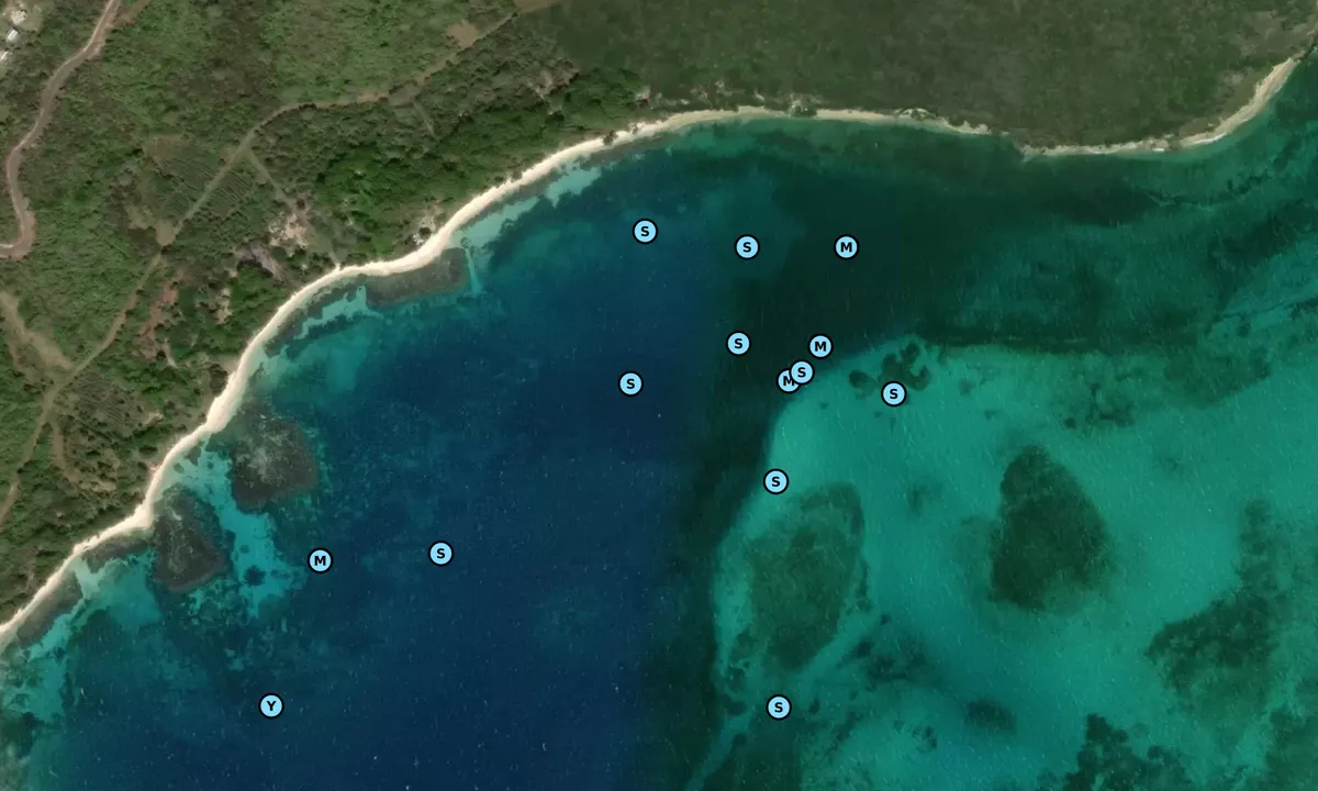 Satelite image of Windward Bay